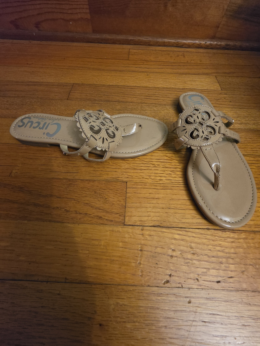 Circus by Sam Edelman Taupe Laser-Cut Medallion Thong Sandals